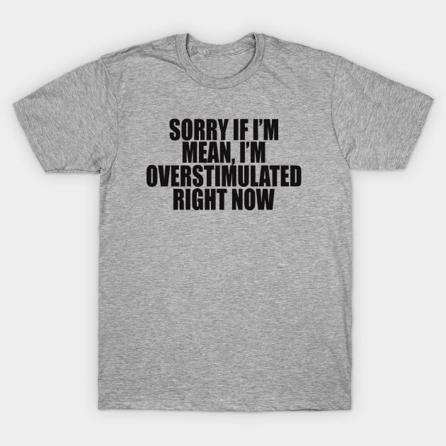 Sorry If I’m Mean, I’m Overstimulated Right Now Shirt, Y2k Aesthitic Shirtr, Self Care, Self Love Shirt, Mental Health Gifts T-Shirt by ILOVEY2K